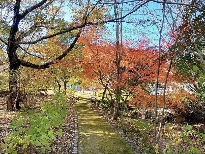 寺カフェ ハルノヒ