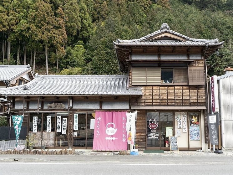 茶の芽