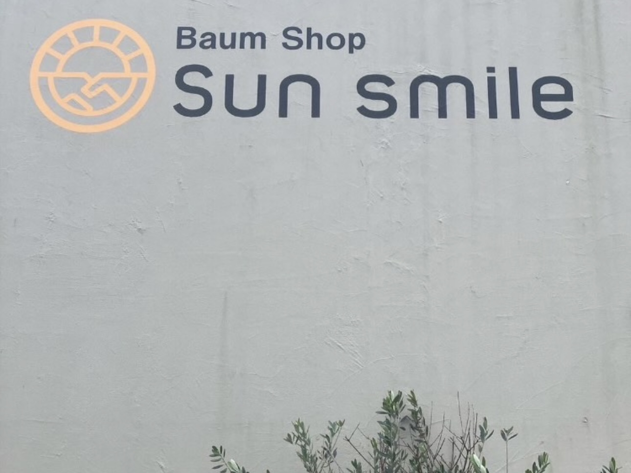 sun smile