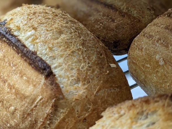 PANYA Artisan BAKERY